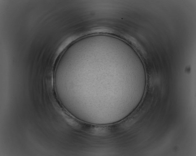 X0000091451274200708301802