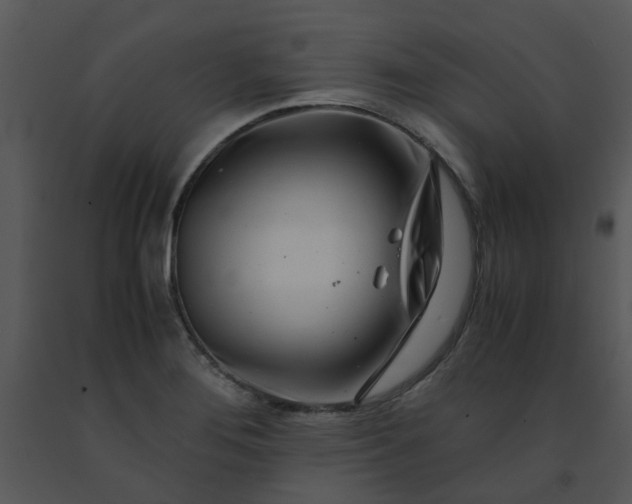 X0000091451276200708301802