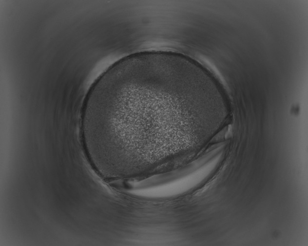 X0000091451277200708301802
