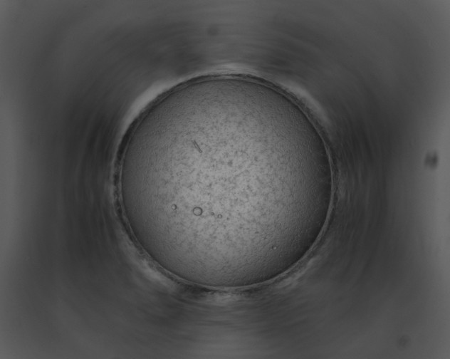 X0000091451278200708301802