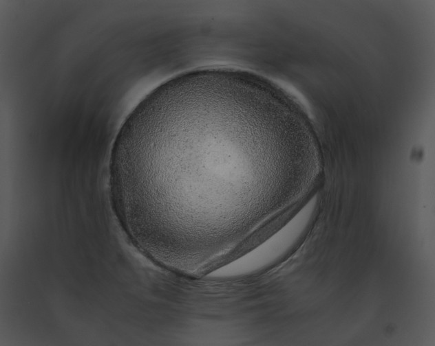 X0000091451279200708301802