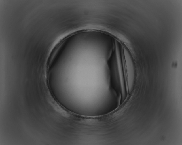 X0000091451280200708301802