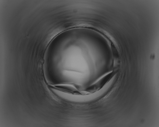 X0000091451281200708301802