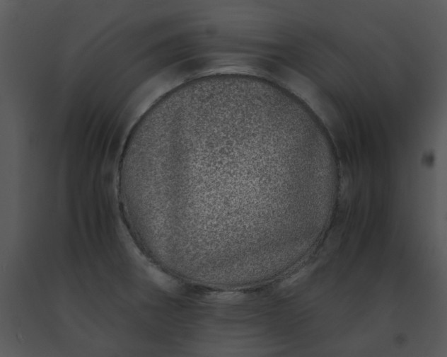 X0000091451282200708301802
