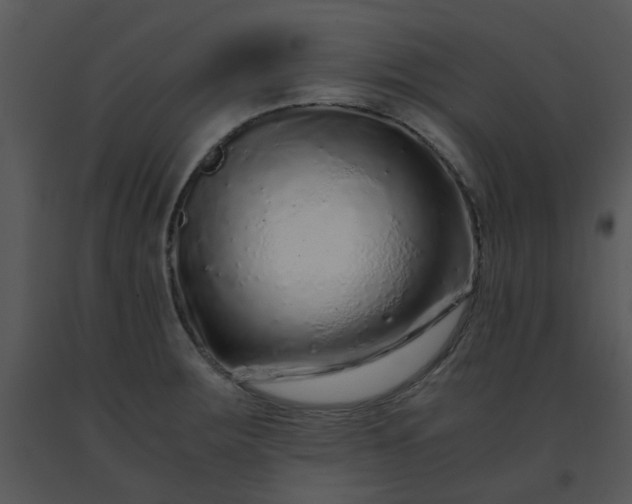 X0000091451283200708301802