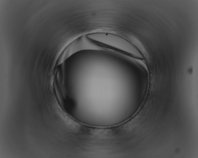 X0000091451284200708301802