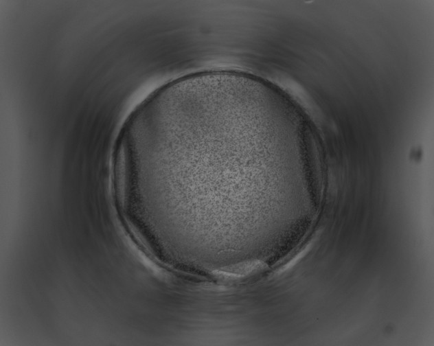 X0000091451286200708301802