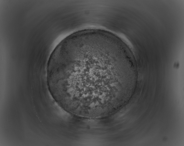 X0000091451287200708301802