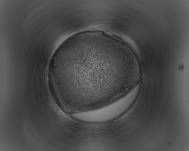 X0000091451288200708301802
