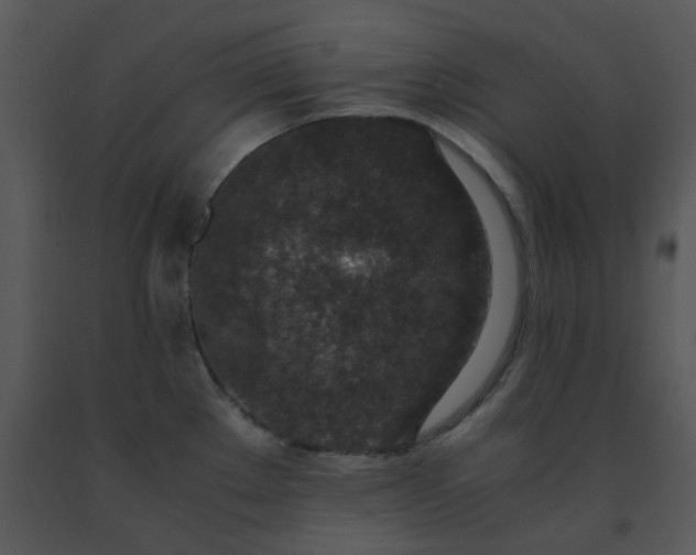 X0000091451289200708301802