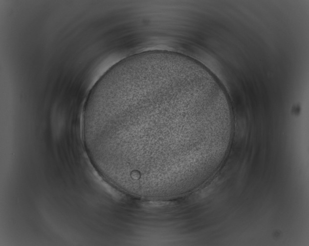 X0000091451290200708301802