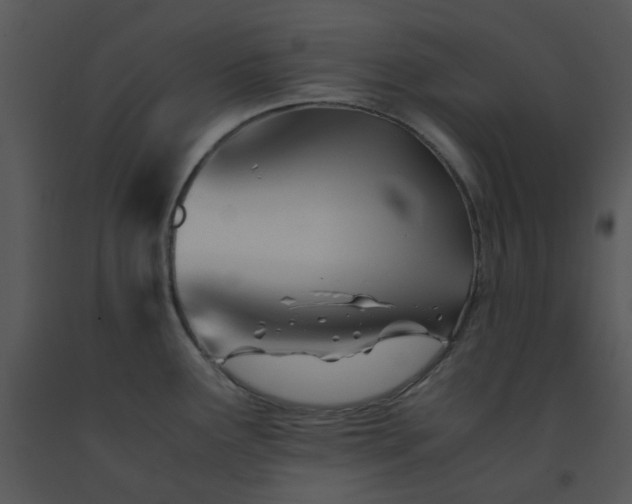 X0000091451291200708301802