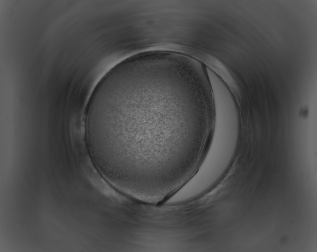X0000091451292200708301802