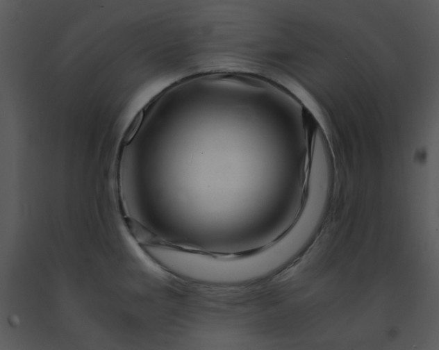 X0000091451293200708301802