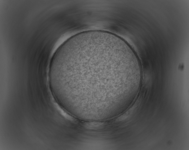 X0000091451294200708301802