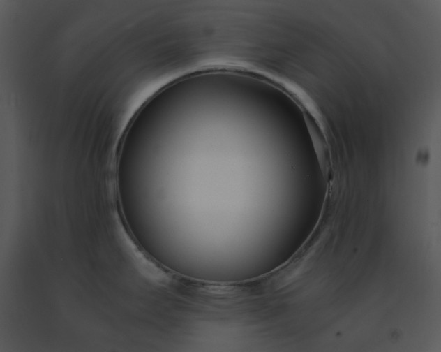 X0000091451295200708301802