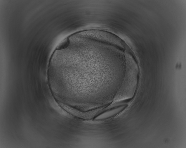 X0000091451296200708301802