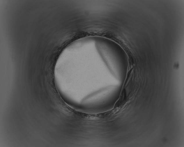 X0000091451297200708301802
