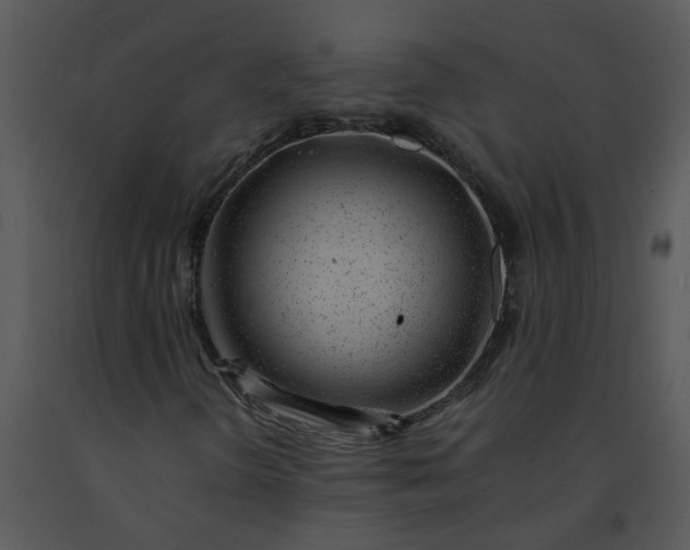 X0000091451298200708301802