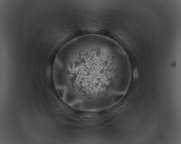 X0000091451299200708301802