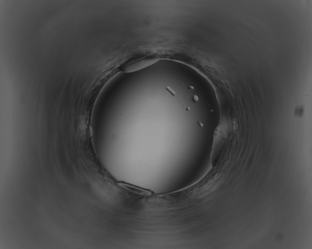 X0000091451300200708301802