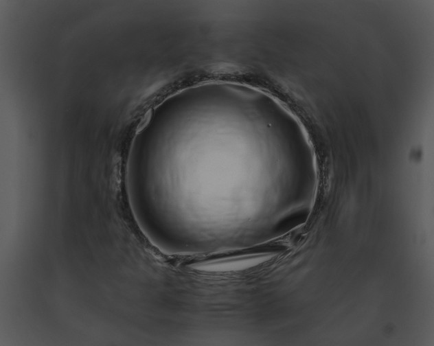 X0000091451301200708301802