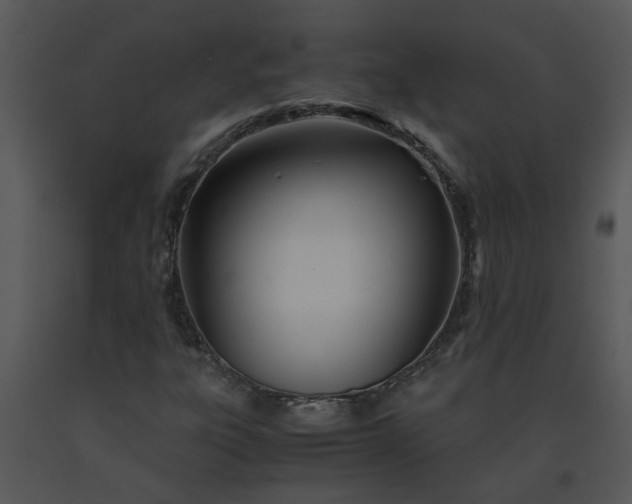 X0000091451303200708301802