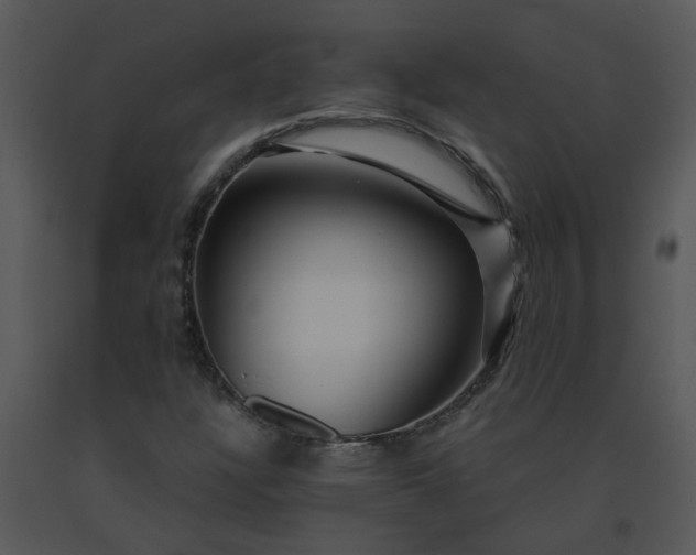 X0000091451304200708301802