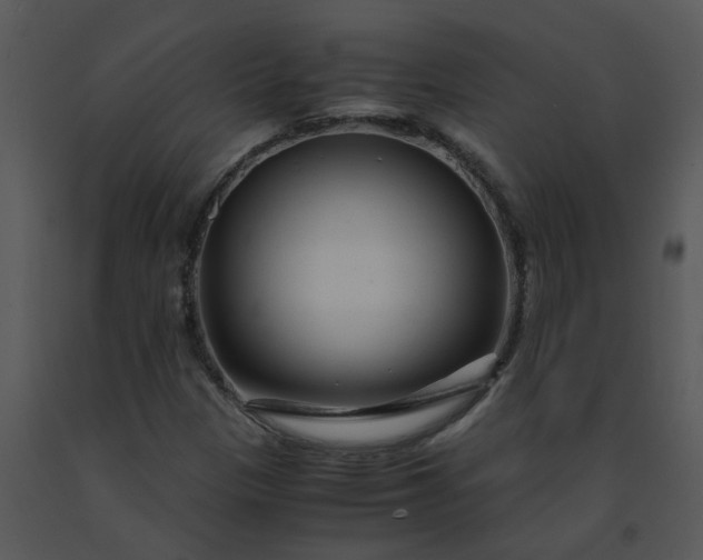 X0000091451305200708301802