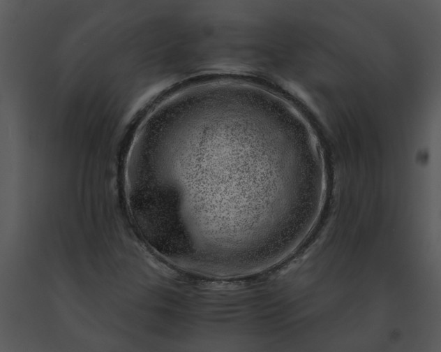 X0000091451307200708301802