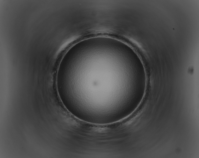 X0000091451309200708301802