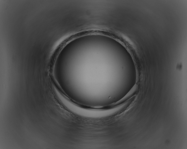 X0000091451310200708301802