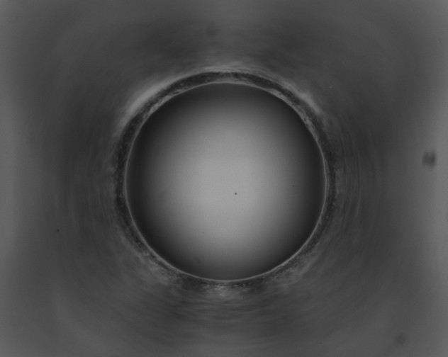 X0000091451311200708301802