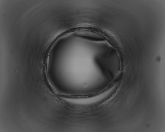 X0000091451313200708301802