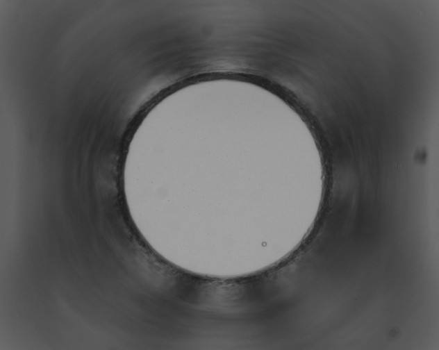 X0000091451314200708301802