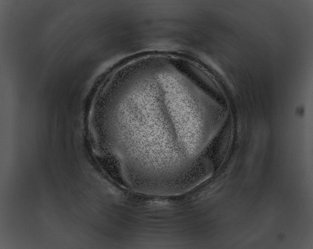X0000091451315200708301802