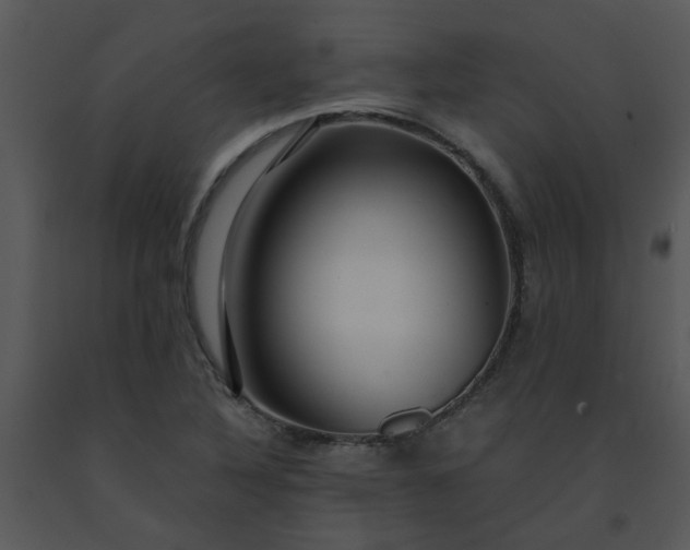 X0000091451316200708301802