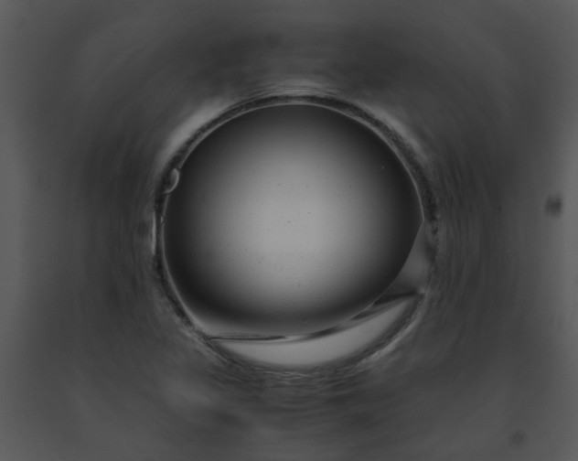 X0000091451317200708301802