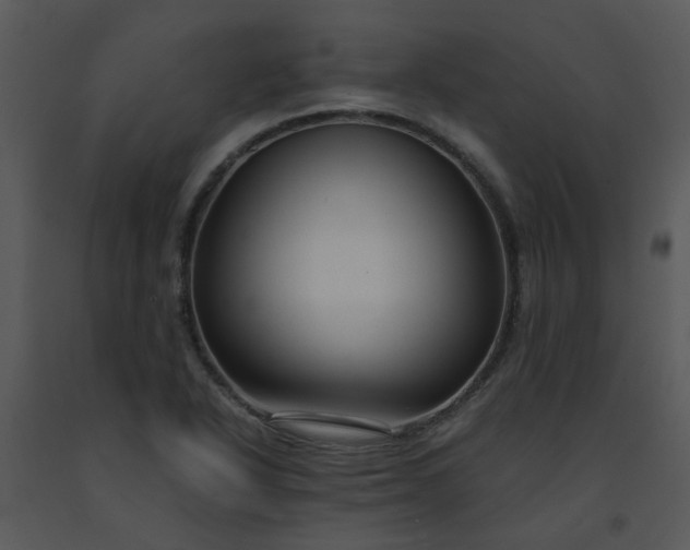 X0000091451318200708301802