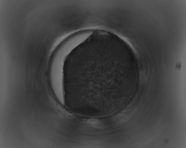 X0000091451319200708301802