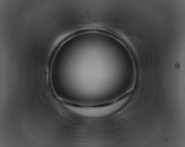 X0000091451320200708301802