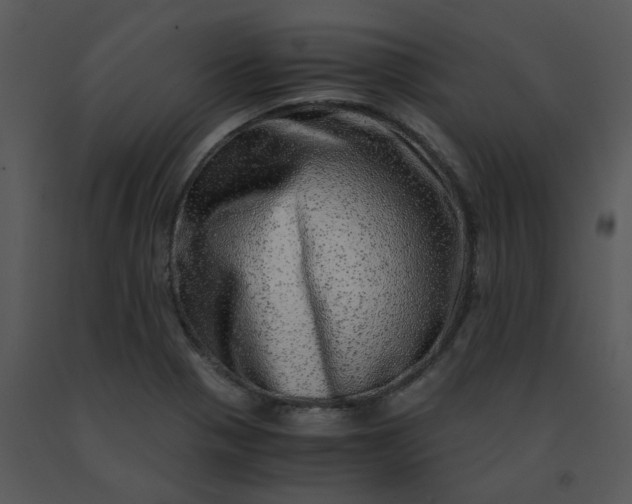 X0000091451321200708301802