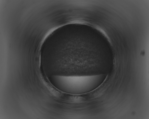 X0000091451323200708301802