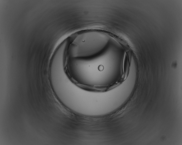X0000091451324200708301802