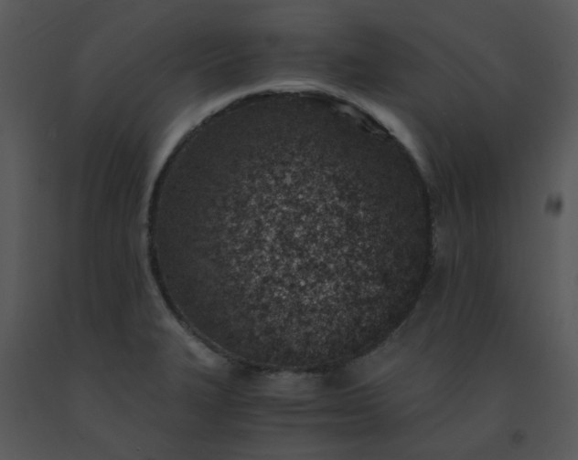 X0000091451327200708301802