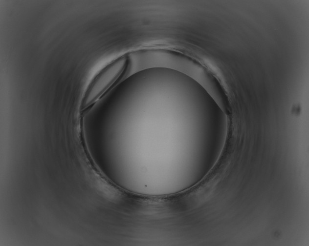 X0000091451328200708301802