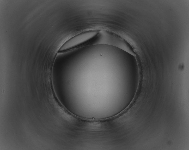 X0000091451329200708301802