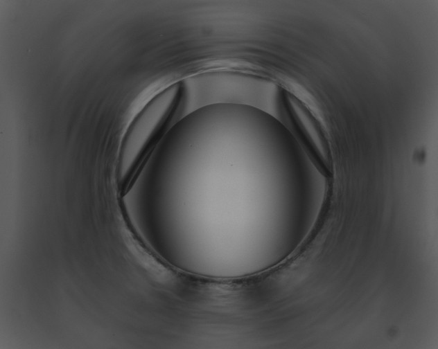 X0000091451330200708301802