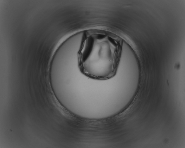 X0000091451332200708301802