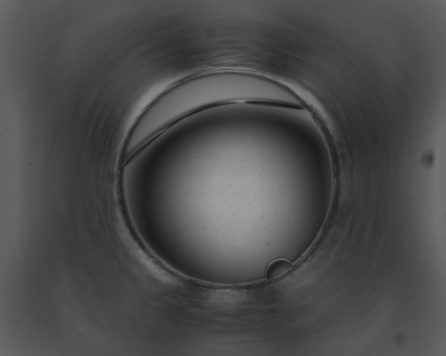 X0000091451333200708301802